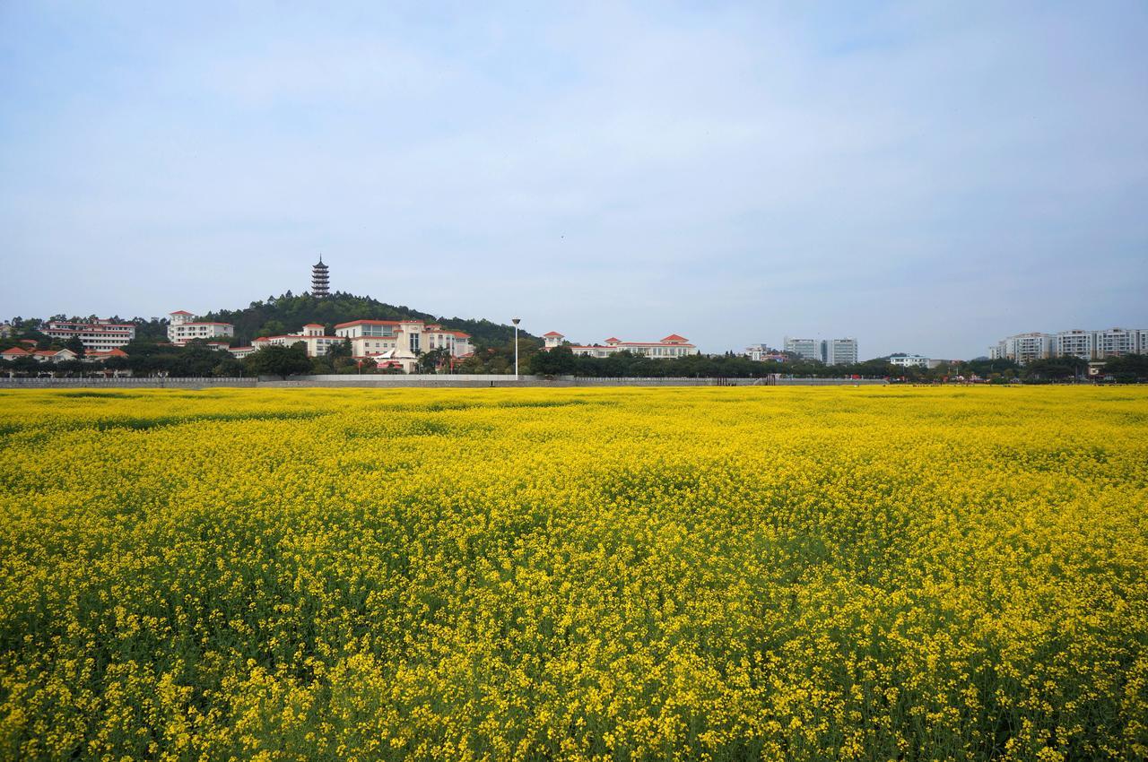 Dongguan Goodview Hotel Sangem Qiaotou Exterior foto